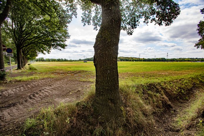 In het Nuenense Gulbergendeel boven het spoor zou volgens de Metropoolregio en het COA prima een tijdelijke opvang voor 500 vluchtelingen kunnen komen.