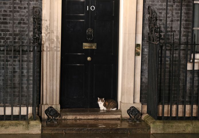 Kat Larry voor de deur van Downing Street 10, de ambstwoning van de premier. Het ziet ernaar uit dat ‘BoJo’ voorlopig niet hoeft te verhuizen.