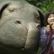 'Okja': 'E.T.' met meer varkensdrek