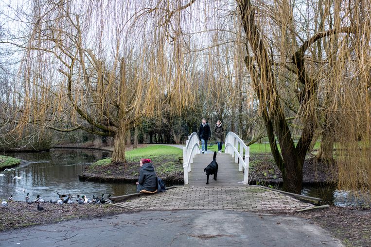 Het Noorderpark. Met de nieuwe plannen moet er een deel bijkomen waar evenementen kunnen worden gehouden Beeld Nosh Neneh