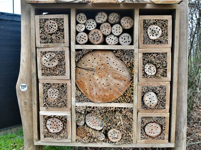 Maak bosazijn of insectenhotel op ‘Expeditie Kloosterbos’