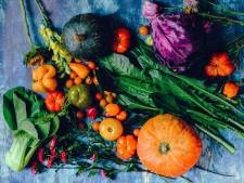 Le Veggie Challenge, “une fausse bonne idée soutenue par nos politiques”