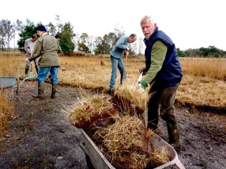Opinie | De natuur herstellen? Voer stikstof af, zoals met plaggen!
