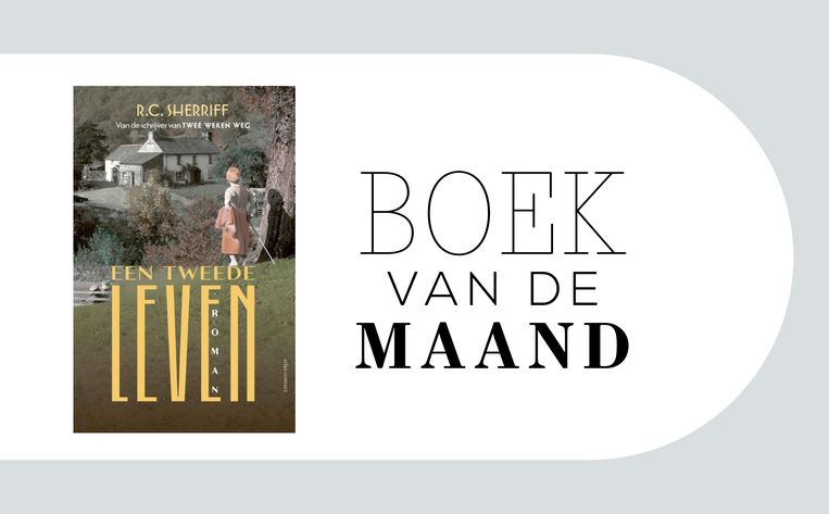 null Beeld 