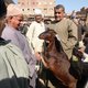 'Geen waren uit Egypte of Libië meenemen wegens MKZ'