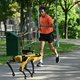 ▶︎ Deze robothond zorgt ervoor dat in Singapore de ‘social distancing’ wordt gerespecteerd