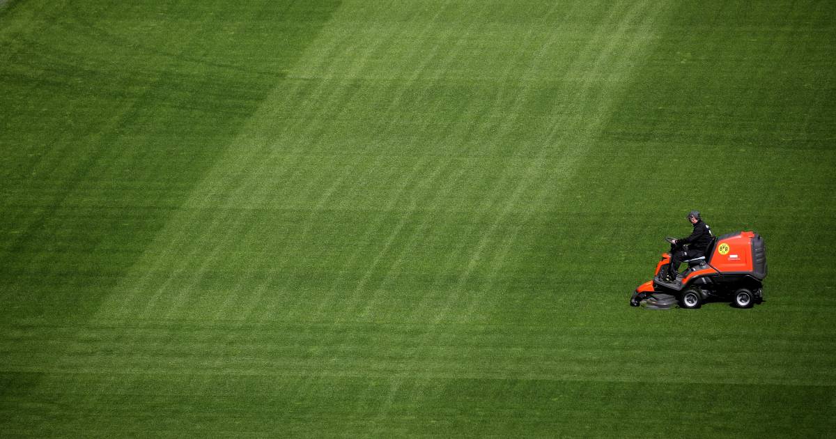 Der Fußballkalender ist fast leer, aber heute Abend finden noch WM- und Champions-League-Spiele statt |  Sport