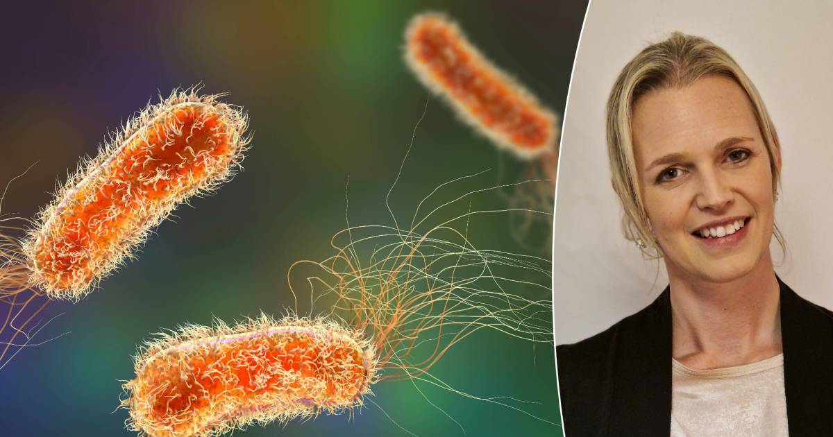 « Tout le monde entre en contact avec » : pourquoi la bactérie hospitalière Pseudomonas est-elle si dangereuse ?  Et comment les obtenir ?  |  Mon guide : Santé