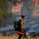 Bosbranden bestrijd je met water én met vuur – dus gaat de ‘hotshotcrew’ in New Mexico op pad met vlammenwerpers
