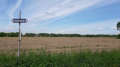 Gedoe met stikstof opgelost met wisseltruc: Breda zet bouwplan Woonakker weer op de rails
