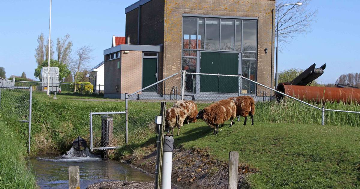 Zeedijk in Oudenhoorn afgesloten voor doorgaand verkeer, ‘net nu het extra druk is’