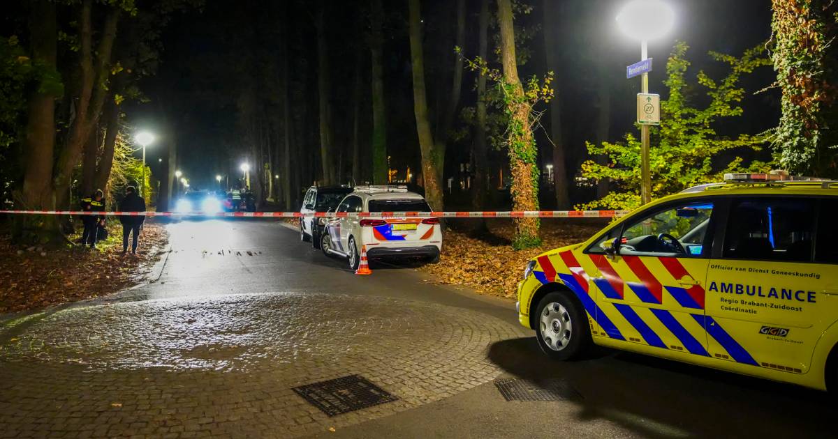 Omgekomen man werd tijdens het uitlaten van zijn hond aangereden door buurtbewoner.