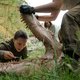 'Annihilation': Netflix pakt uit met sciencefictionfilm die meer dan tv verdient