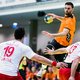 Ook handbalmannen vinden weg naar boven en hopen op WK