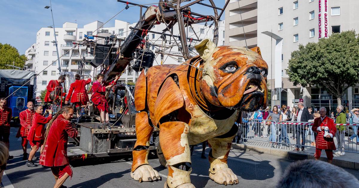 De Reuzen van Royal de Luxe strijken dit weekend neer in Antwerpen kan