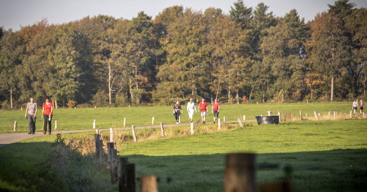 Populaire Herfsttintentocht in Vasse weer in oude opzet | Tubbergen | tubantia.nl - Tubantia