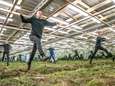 Slootje springen bij de Fundatie