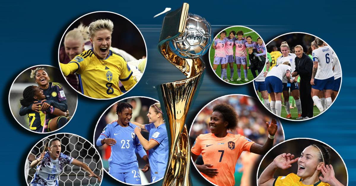 Survey |  Eight more contenders: Who will take the world title from America?  |  Lions at the World Cup