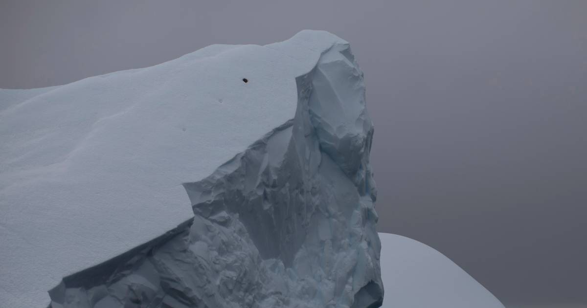 Il più grande iceberg del mondo squarcia l’Antartide |  Scienza