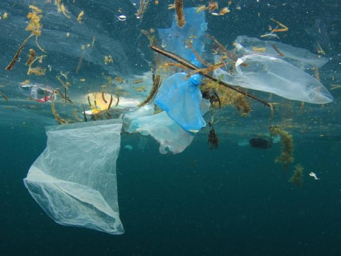 Oceaanwetenschappers roeren in troebele soep: miljarden kilo’s plastic ‘kwijt’