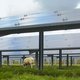Zonneparken nemen steeds meer ruimte in beslag