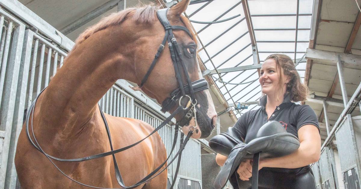 Thamar Zweistra uit Schore wint Hongaarse hengstenstrijd