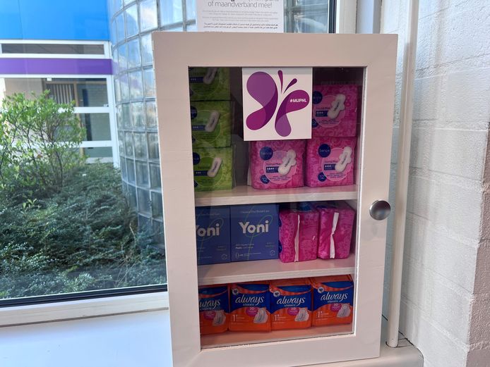 Reeks Elementen Die Met De Menstruatie Van De Vrouw Verbinden Maandverband Tampon En Ondergoed 657384 93