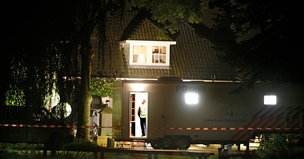 Dubbele doodslag Hurwenen: man wil vervroegd vrij.