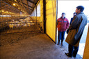 Premier Balkenende op bezoek op een geitenhouderij in Hulten. FOTO ANP.