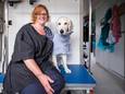 BORNEM Tine van Hondentrim Goldylocks lanceert de badjas voor honden