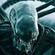 'Alien: Convenant': méér dan een potje griezelen met facehuggers