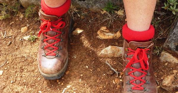 Mooiste wandelroute van Nederland loopt door Markelo | Hof van Twente - Tubantia