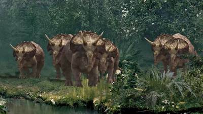 Une coopération sociale inédite: des fouilles révèlent une découverte révolutionnaire sur le Tricératops
