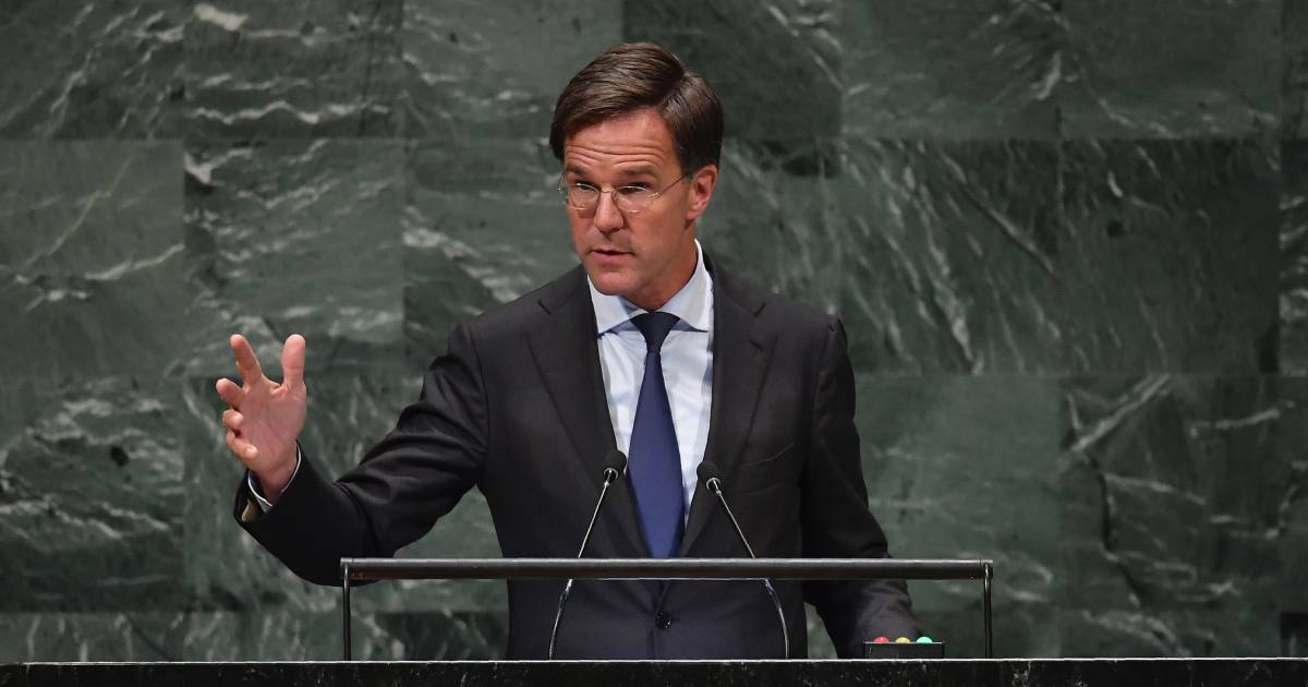 Is Rutte suddenly considering a new political career?  |  Policy