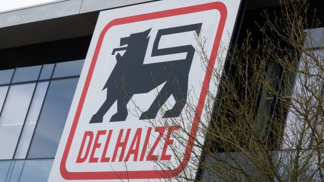 La direction de Delhaize va bientôt “trier” les candidats repreneurs