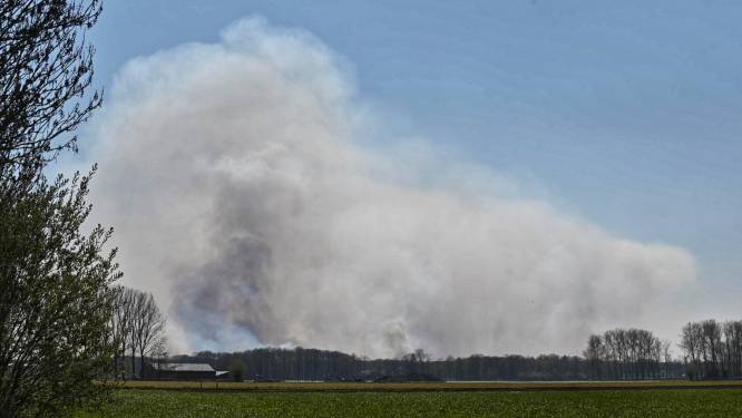 Grote brand in Belgisch natuurgebied net over de grens bij Zundert, Chinooks van Gilze-Rijen ingezet
