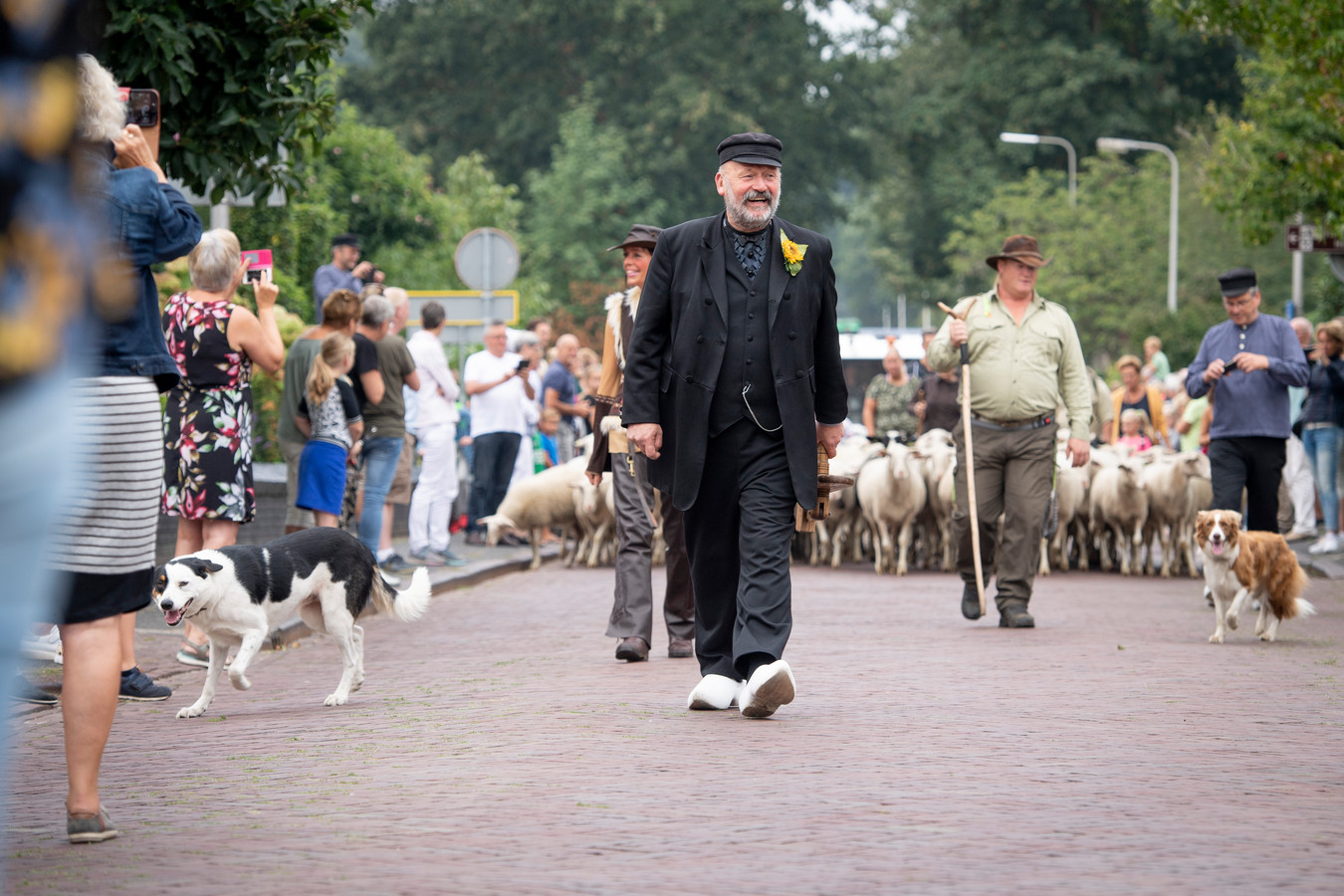 Natuurlijk loopt dorpsomroeper Klepperderk weer voorop bij de intocht van de schapen.