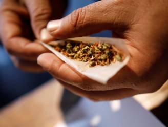Politie Brussel-West vindt 220 kilo hasj en 50.000 euro bij oprollen cannabisbende