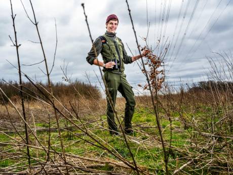 Beheerder neemt publiek mee het bos in vóórdat de kettingzagen in actie komen