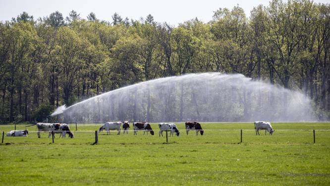 Milieuorganisatie herkent zorgwekkende bevindingen over staat natuur: ‘Provincies moeten aan de slag’