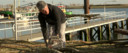 Beeldmateriaal film.