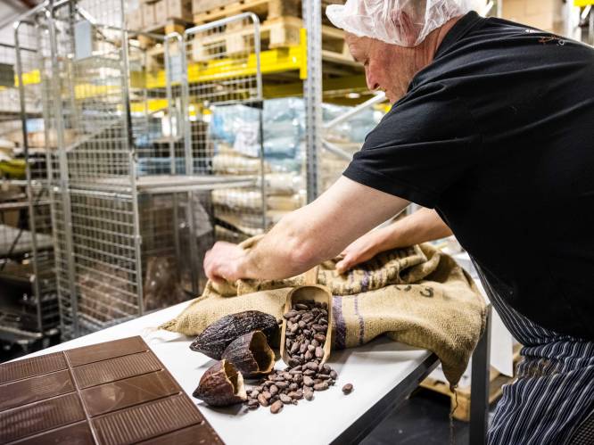 Nieuw record voor cacaoprijs