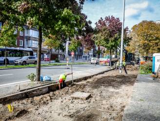 Nog tot eind dit jaar werken aan fietspaden en bushaltes langs Hoefijzerlaan 