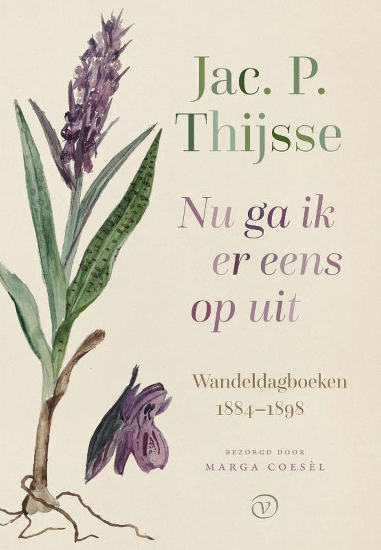 null Beeld Van Oorschot