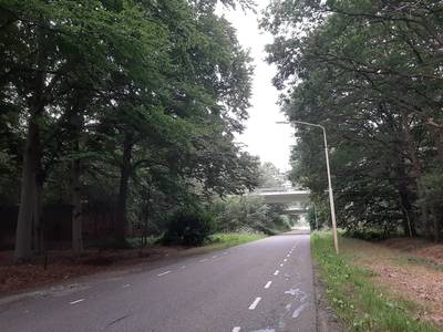 Eindelijk is het zover: fietspad Tuinbouwweg komt er, en de eerste bomen worden al snel gekapt