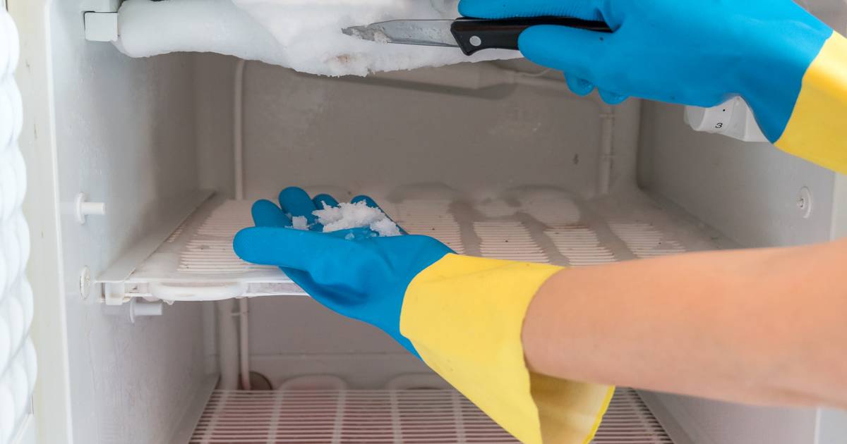 Freezing Temperatures on the Horizon: It's Time to Clean Out Your Freezer and Save That Money on Your Electric Bill |  My guide