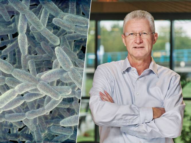 Zet na je vakantie kranen open: ‘Piek besmettingen legionella ligt rond zomervakantie’