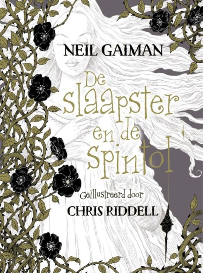 De slaapster en de spintol van Neil Gaiman.