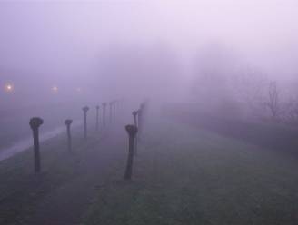 Mist of mistbanken in Kruisem in de nacht