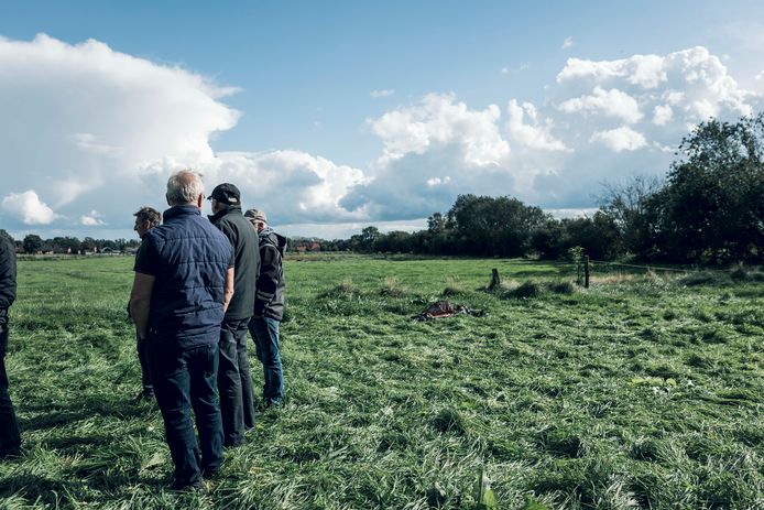 De wolf heeft in Oudsbergen een pony gedood.